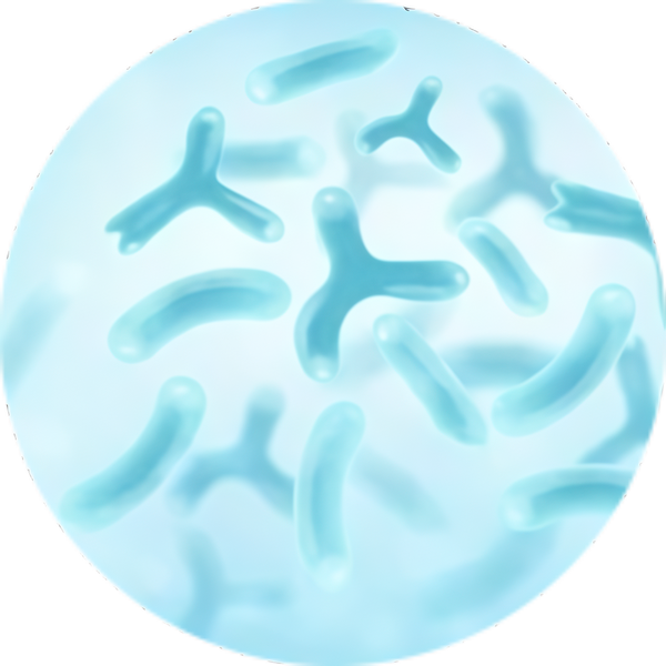 Prebiotics & Probiotics